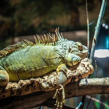 Apartment Im Freizeitpark Weissenhaeuser Weissenhauser Strand